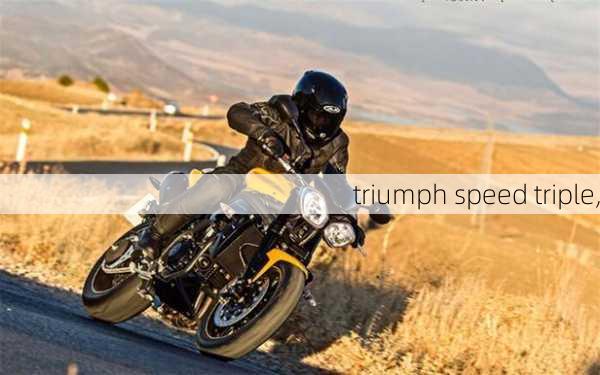 triumph speed triple,